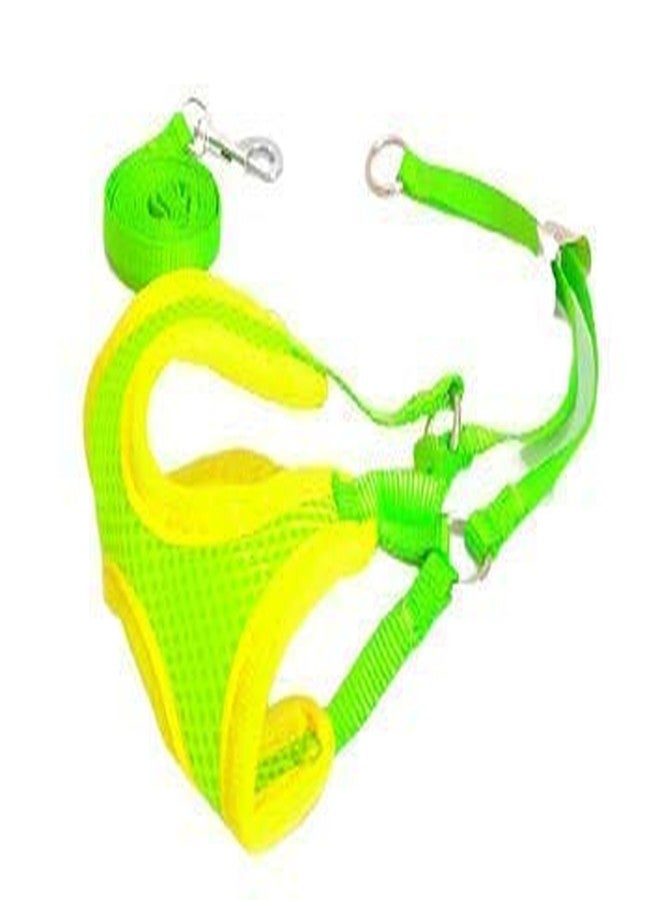 KittuPet حزام مبطن من KittuPet للجراء الصغيرة/القطط/القطط الصغيرة، سترة، طوق تدريب للقطط/الكلاب - Image 4